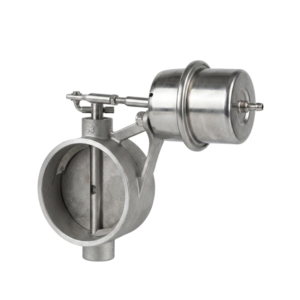 Valvetronic Cutout